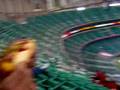 videos de Dan's Big Weiner