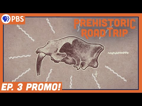 Tiny Teeth, Fearsome Beasts | #PrehistoricRoadTripPBS Ep. 3 Promo