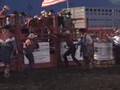 Bull Riding