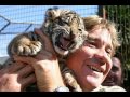 Tribute to Steve Irwin Video NEW!!!!