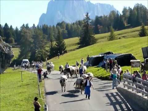 Almabtrieb Seiser Alm-Kastelruth
