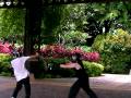 videos de RSW 2008_11_30d (Sparring Chinese sabre vs short spear)