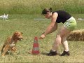 Chilli - Need4Speed Agility Camp