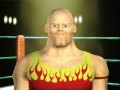 MarioMario2009's WWE TLC review