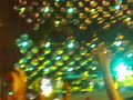 Concerto di Vasco a Messina...Gioca con me