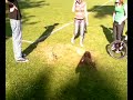 THE GRASSMAN