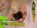 每到冬天，美眉們開始手腳冰冷，這時候不管再多的暖暖包也趕不走寒意，跟著中醫師一起diy製作中藥浴、喝中藥茶飲，讓我們由內而外改善體質，一起溫暖過冬吧！中醫認為，女孩們每個月都有「大姨媽」報到，就容易出現貧血、低血壓的現象；加上平時喜歡吃寒涼食物，所以多數女生體質都偏虛寒，一到冬天，外來寒邪侵襲，　所以外寒加上內寒，造成血液凝滯，無法到達四肢末稍，就會讓手腳冷冰冰囉！● DIY改善手腳冰冷茶飲     通脈袪寒茶         1、通脈袪寒茶藥材介紹            當歸 1片：有活血、通脈的作用            蜜炙桂圓(龍眼肉) 20g：溫熱性，可養血安神            老薑 3~5片：具驅寒暖身的作用       將材料放進過濾袋，放進沖泡壺中，       先用少量熱水沖淨藥材，       再加入600c.c.熱水，悶蓋浸泡15分鐘，       就可以當茶水來喝囉！● DIY袪寒藥浴     有助改善手腳冰冷         袪寒藥浴藥材介紹          桂枝 20g：可溫通經脈，改善四肢血液循環          紫蘇葉 20g：有驅善寒邪的作用       將調配好比例的藥材放進過濾袋，       加入1000c.c.的水，大火煮滾後，再轉小火煎煮10分鐘，       接下來，加入冷水以1：1的比例混合，       溫度大約維持38度，比體溫略即可。       另外，懶得煎煮的人，也可直接用熱水浸泡，       先讓藥材包在熱水中泡10分鐘左右，       依個人測試水溫後，可用手搓揉藥材包，       幫助藥性完全揮發。      袪寒藥浴手腳皆適用　　   袪寒水完成後，就可同時浸泡手腳，         建議可在睡前浸泡，可幫助入睡，         長期下來就可改善手腳冰冷的問題囉！冬天即將來臨，有手腳冰冷問題的美眉們，趕快動手試試茶飲與藥浴吧！讓我們溫暖一整個冬天！　　　 ※醫師資料御絨中醫診所院長廖婉絨醫師經歷：中山醫學大學學士後中醫學系美國哈佛醫學院附設麻州總院研究台北市立聯合醫院中醫院區主治醫師