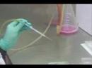 One Wedding and an Appendectomy part 1