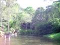 videos de tiroleza