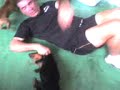 Destruindo o papi Destruindo o papi