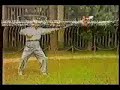 Wu Taiji Spear