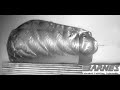 Ballistic Gelatin hit with high speed round
