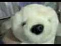 videos de funny service  2.3gp