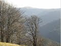 Ausflug zum Schauinsland - Freiburg