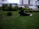 Le Parkour Artful Audacious