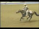 Tribute To Western Riding