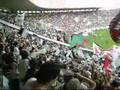 videos de GUERREIROS DO ALMIRANTE Vasco x Santos SOU VASCAÍNO