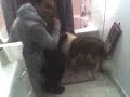 entrain de chier part2