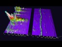 During a  Healing Presence: Can EEG be Reliably Measured?