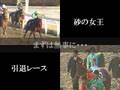 日本馬海外遠征史