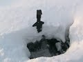 real cold and 14 inches of snow.
