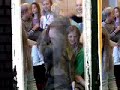 SF vil skabe en folkeskole, der giver børnene ideelle forhold for deres læring. En skole, hvor ethvert barn tidligt oplever glæden ved det univers, der åbner sig, når man kan læse selv. En skole, hvor alle børn lærer de basale færdigheder. En skole, der samtidig anerkender, at vejen til læring er forskellig fra barn til barn - ligesom test og elevplaner ikke lærer vores børn at regne og skrive. 10.08.07 Et godt samfund tager vare på sine børn. Værdsætter deres forskellighed, nysgerrighed og sårbarhed. Passer på dem. SF vil skabe en folkeskole, der giver børnene ideelle forhold for deres læring. En skole, hvor ethvert barn tidligt oplever glæden ved det univers, der åbner sig, når man kan læse selv. En skole, hvor alle børn lærer de basale færdigheder. En skole, der samtidig anerkender, at vejen til læring er forskellig fra barn til barn - ligesom test og elevplaner ikke lærer vores børn at regne og skrive. SF vil arbejde for:Højst 22 elever i klassen 2 lærere pr. klasse i de første 3 år  Nye fysiklokaler og ordentlige toiletter Hvordan skal det kunne lade sig gøre at lære at læse, hvis bordene vipper og klasserne er overfyldte? SF vil investere massivt i faglokaler, skolebøger og idrætsfaciliteter og ikke acceptere, at forældrene læser lektier med deres børn med danskbøger, de kan genkende fra deres egen barndom. SF vil have en tidssvarende skole.SF vil arbejde for, at der i løbet af få år er sikkerhed for, at hvert skolebarn har en dansklærer, der har liniefag i dansk og en matematiklærer med liniefag i matematik. Naturligvis. Hvor der er færre børn i klasserne, og de alle tilbydes et gratis, sundt måltid mad. SF's vision er en skole, der fungerer som løftestang for de børn, der ikke har bogligheden med hjemmefra. En skole, hvor der er flere lærere i hver klasse med tid og forudsætninger til at give en passende undervisning. SF vil sikre alle lærere mulighed for efteruddannelse og ordentlige arbejdsvilkår. Vi vil ikke acceptere, at hver dag skal være en kamp for at kunne gennemføre en ordentlig undervisning.For både børnene og lærerne gælder det, at nok så mange gode intentioner ikke kan gøre det alene. SF vil kæmpe for det.