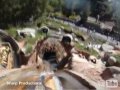 Splash Mountain POV Disneyland California