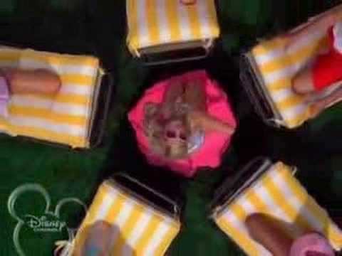sharpay
