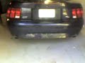 2001 Mustang GT 2001 Mustang GT
