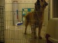 Cooper ? Prison break  - Level 1