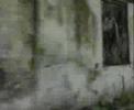 The princess project / Lerra woelna
