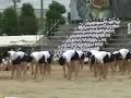 A dance of a white block.
