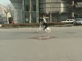 Reverse Seated Backward Circles on a Fixie Reverse Seated Backward Circles on a Fixie