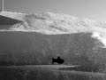 LES COLOCS Dehors novembre (Hommage, d�d� fortin)