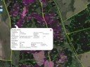 Online GIS Viewer - Demo i-Visual 2008