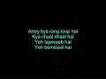 Chinta Ta Ta Chita Chita - Rowdy Rathore - With Lyrics!
