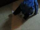 bboy moshmosh