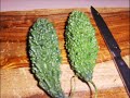 Diabetes Helpful Lemon Karela