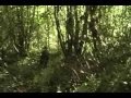 Part Two -June 21st 2008 Airsoft Battle