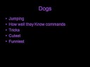The Pet Contest _*{CLOSED}*_