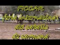 ficcar.mpg