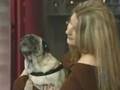 Play Talking Dog