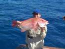 queensland fishing
