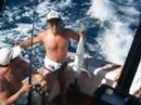 queensland fishing