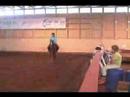 okay, there is a lot of stuff about this vidoe there is to say. 

this was at a horse day camp near my grandparents house. 
i was on a pony cause they dont' have a lot of horses and everyone else participating was older than us, so after me and laura rode bambi and tomppa we really liked them (:
this video has clips from day 2 and day 3. day one was dressage. 
so anyway, i was really tryign to work on keeping my hands off the mane and my arms still. 
my toes weren't as down as usuall because these boots i have here are rubber, and tall boots, and its hard to push my heel down. 
also, my knee was being a pain. 
tomppa has this weird jump where he jumps up, he doesn't really do it at the canter, but mostly if you trot up to the fence.

some of the video is bad quality cause 
1) it was raining
2) it was taken on a digital camera

and yeahh... i really like him so im hoping to take lessons at this place as well as the one with ralla, vaino, ect. 
maybe i'll even do a show with him (:

oh yeah.. a few other details, the trainer said the fence was 80 cm, i think its a bit lower, so its around 2'6