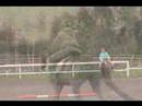 okay, there is a lot of stuff about this vidoe there is to say. 

this was at a horse day camp near my grandparents house. 
i was on a pony cause they dont' have a lot of horses and everyone else participating was older than us, so after me and laura rode bambi and tomppa we really liked them (:
this video has clips from day 2 and day 3. day one was dressage. 
so anyway, i was really tryign to work on keeping my hands off the mane and my arms still. 
my toes weren't as down as usuall because these boots i have here are rubber, and tall boots, and its hard to push my heel down. 
also, my knee was being a pain. 
tomppa has this weird jump where he jumps up, he doesn't really do it at the canter, but mostly if you trot up to the fence.

some of the video is bad quality cause 
1) it was raining
2) it was taken on a digital camera

and yeahh... i really like him so im hoping to take lessons at this place as well as the one with ralla, vaino, ect. 
maybe i'll even do a show with him (:

oh yeah.. a few other details, the trainer said the fence was 80 cm, i think its a bit lower, so its around 2'6