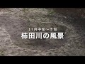 (ST003)柿田川図鑑
