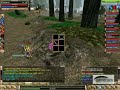 Bach Knight Online ANKARALII Bach Knight Online ANKARALII