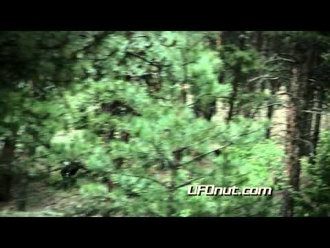 UFOnut.com - Episode 010: Bailey Bigfoot Returns