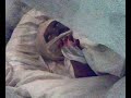 trippin OU 06-11-2006